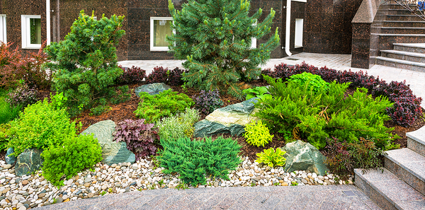Landscaped front yard.
