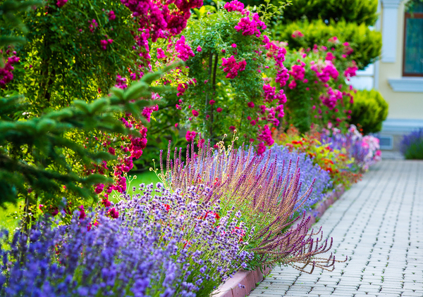 Gutter guard