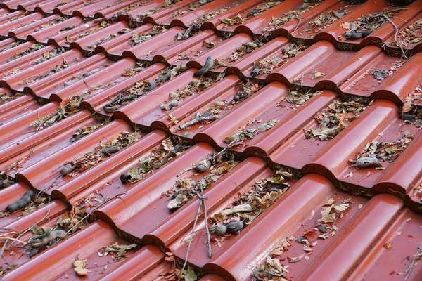 Roofing