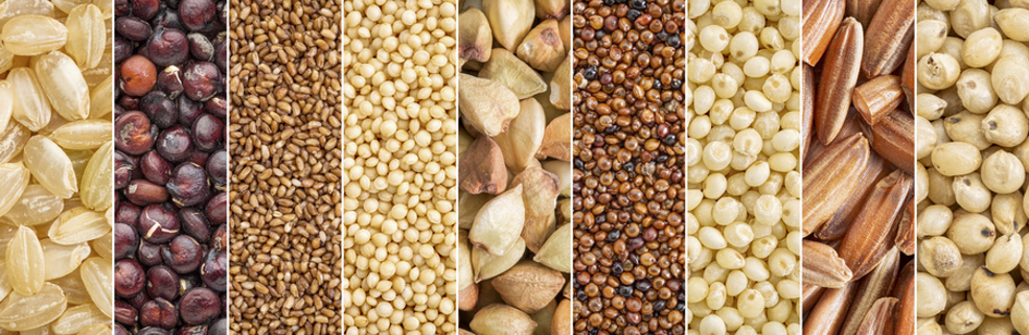 Close up of grains and nuts.
